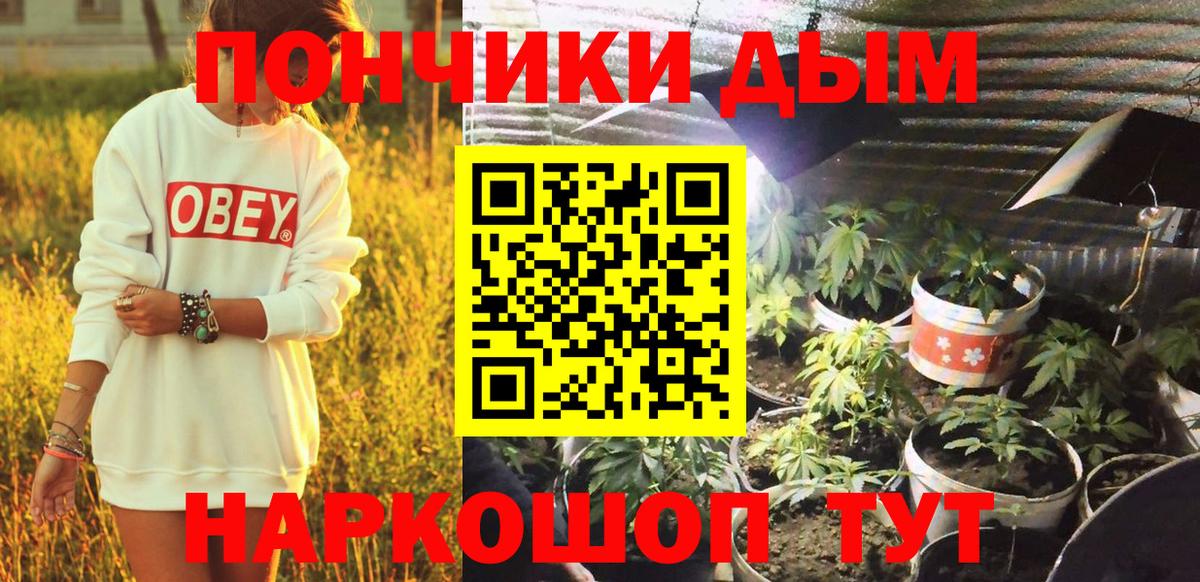 Марихуана семена Киселёвск
